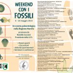 Nuova locandina fossili